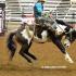 Tenn. High School Rodeo